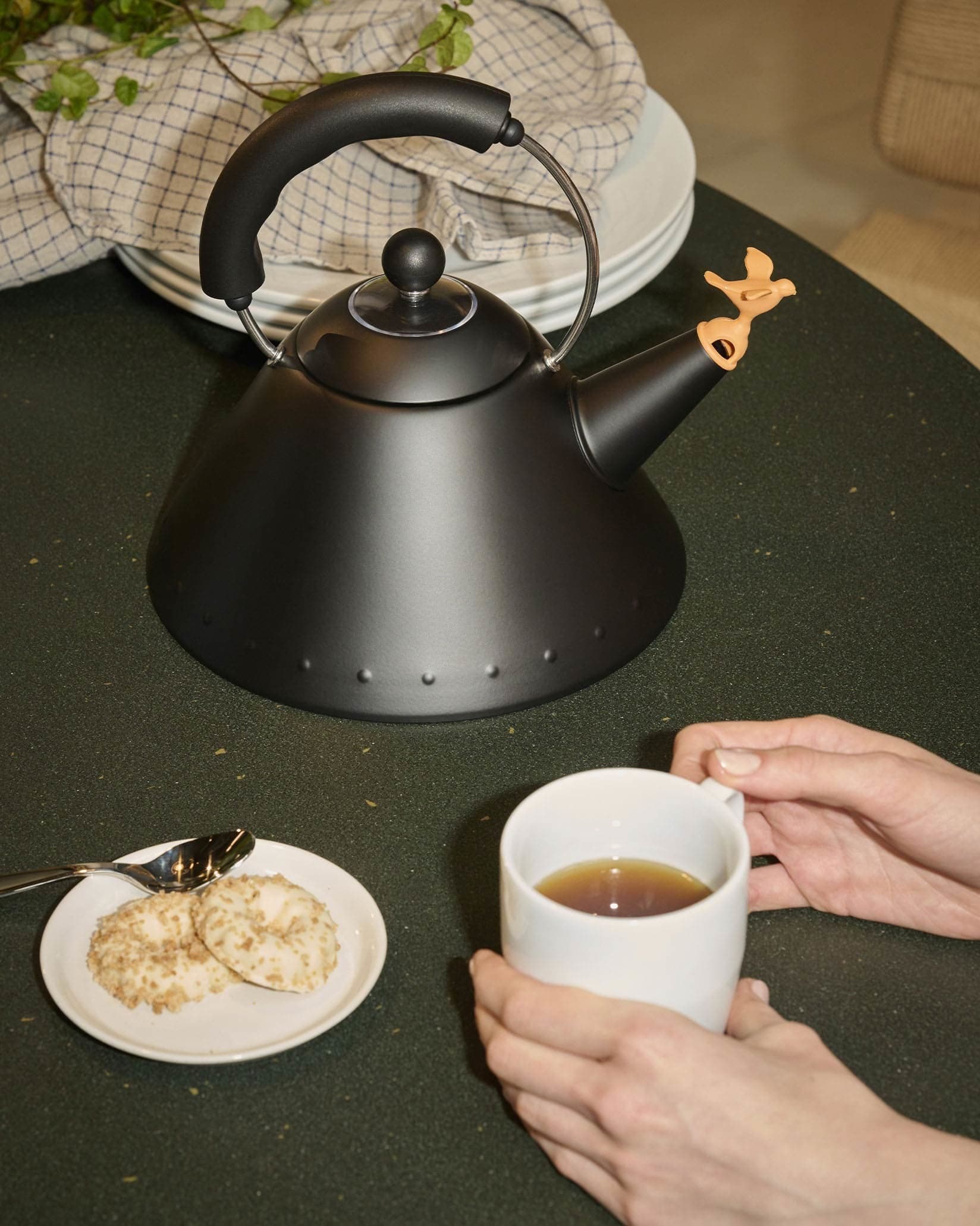 9093 — Michael Graves pentru Alessi 2