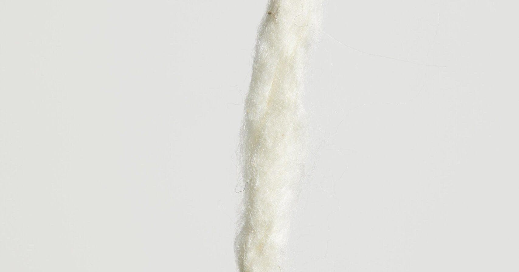 cc-tapis - Interior