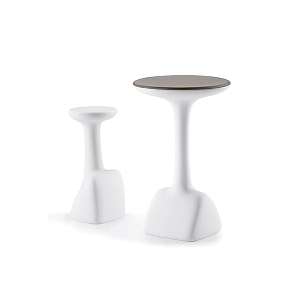 Armillaria Stool 11