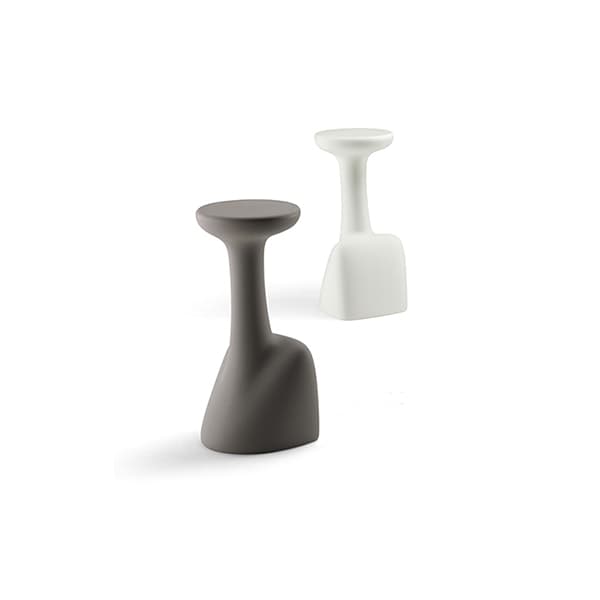 Armillaria Stool 12