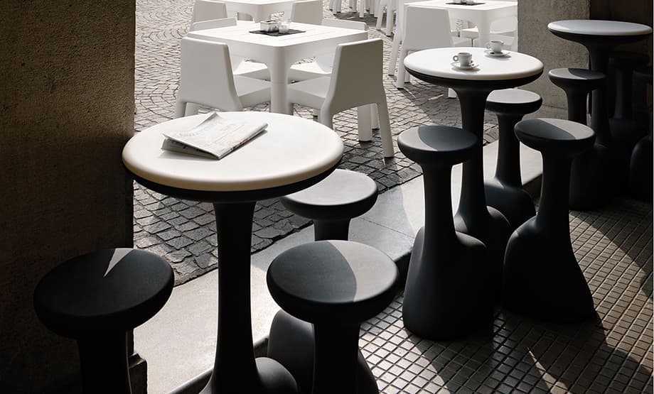 Armillaria Stool 3
