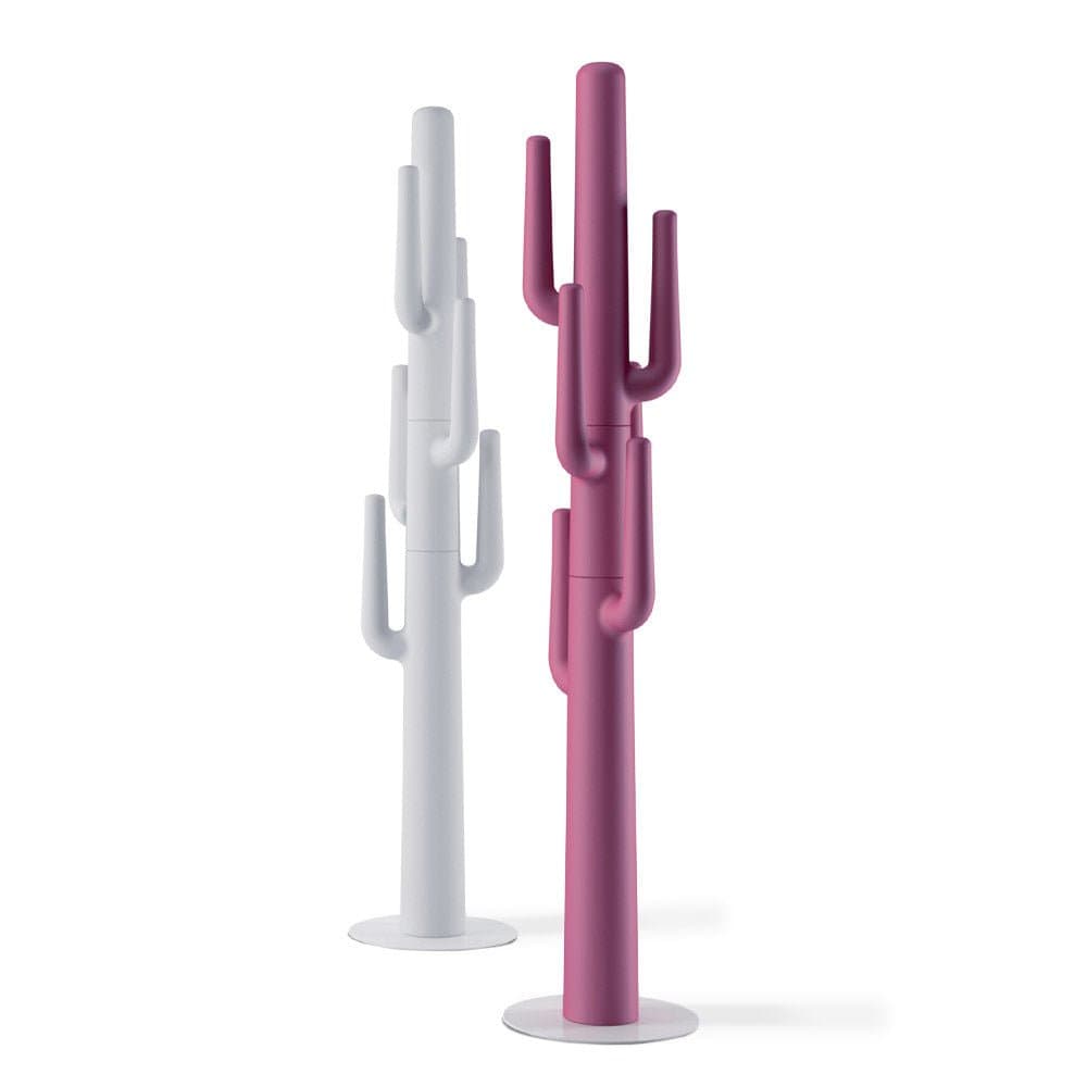Cuier Desert 2