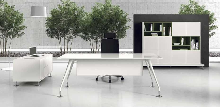 Birou Directorial Enosi 3