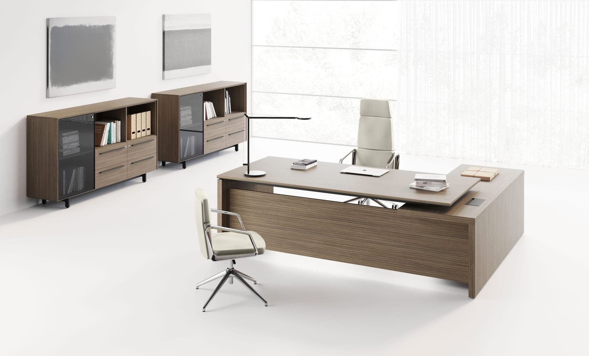 Birou Directorial EOS 2