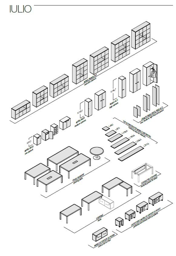 Birou Directorial Iulio 10
