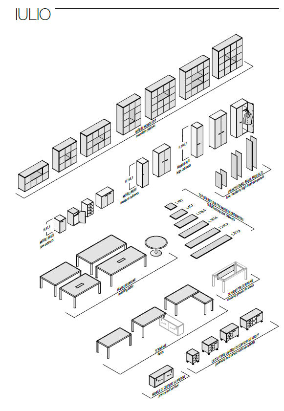 Birou Directorial Iulio 7