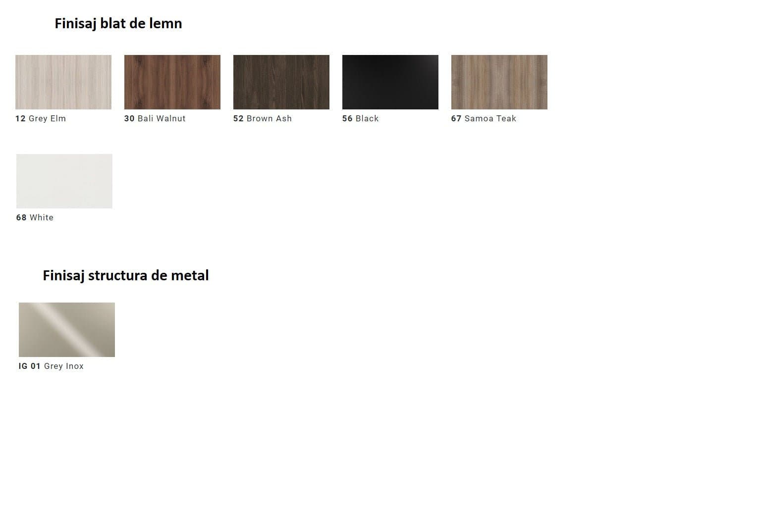 Masa de conferinte Iulio 2