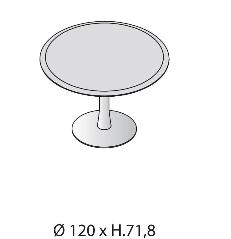 Masa de conferinte Iulio 3