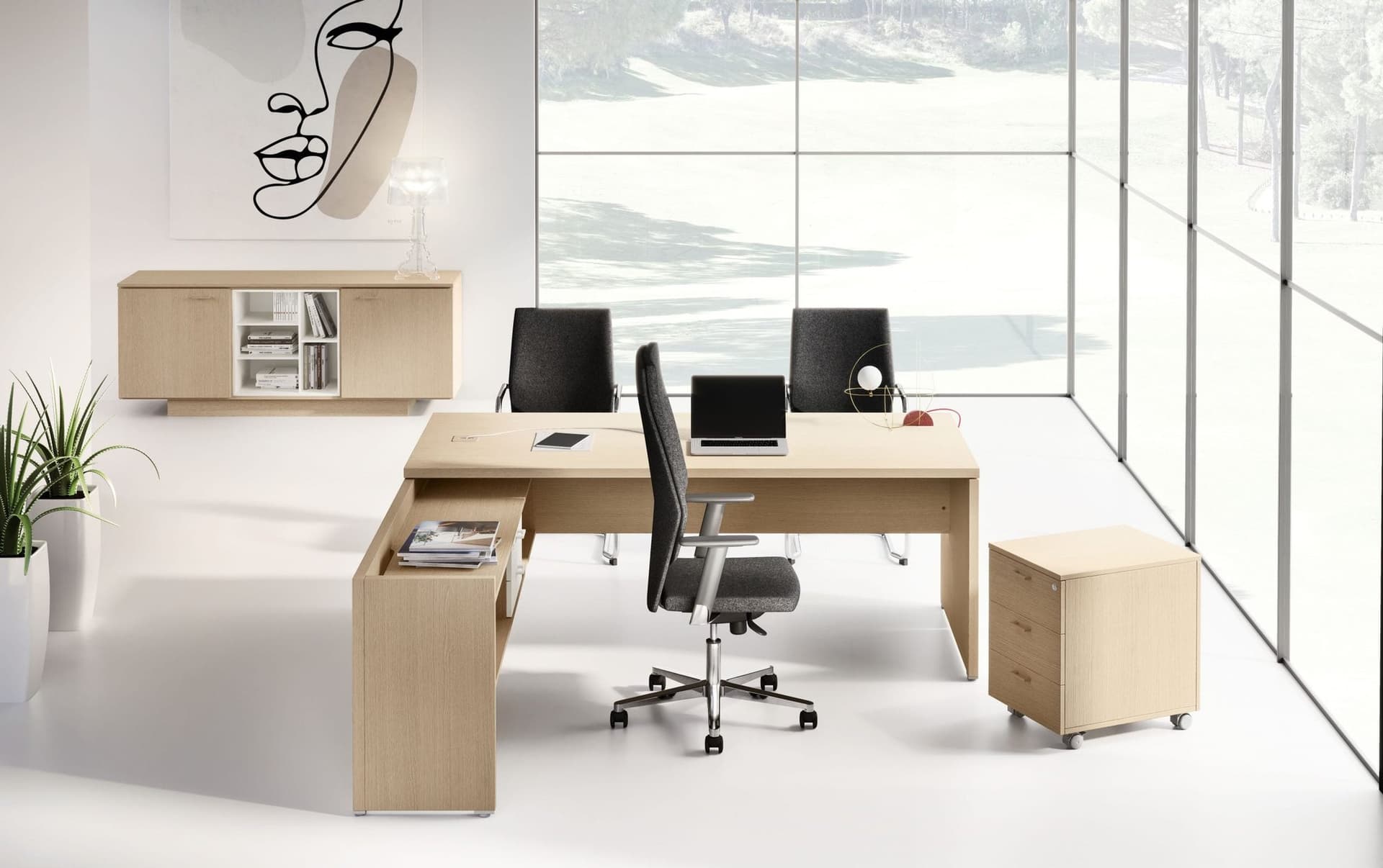 Birou Directorial Delta 2