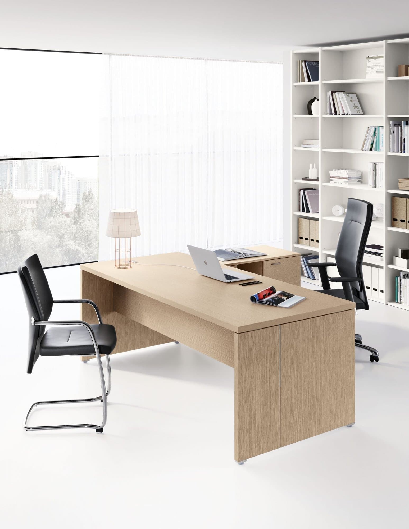 Birou Directorial Delta 3