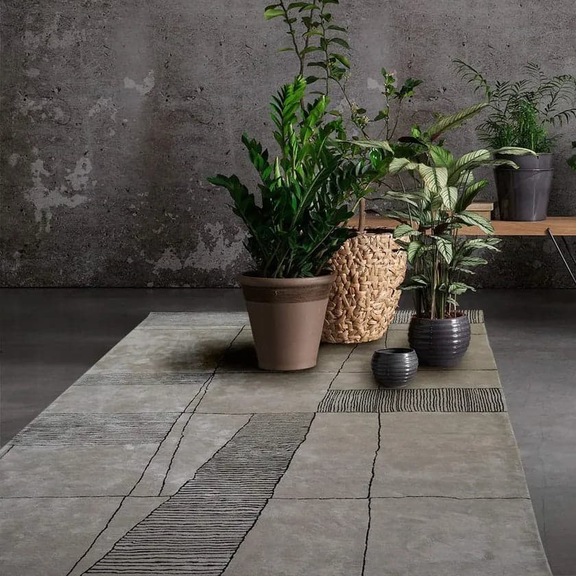 Covor Klee Model S161 4