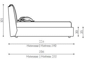 Pat matrimonial Seattle 5