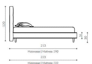 Pat matrimonial D.o.t.s. 6