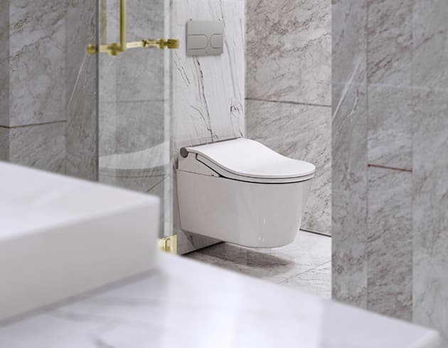 WASHLET® RW cu finisaj argintiu incl. telecomandă 7