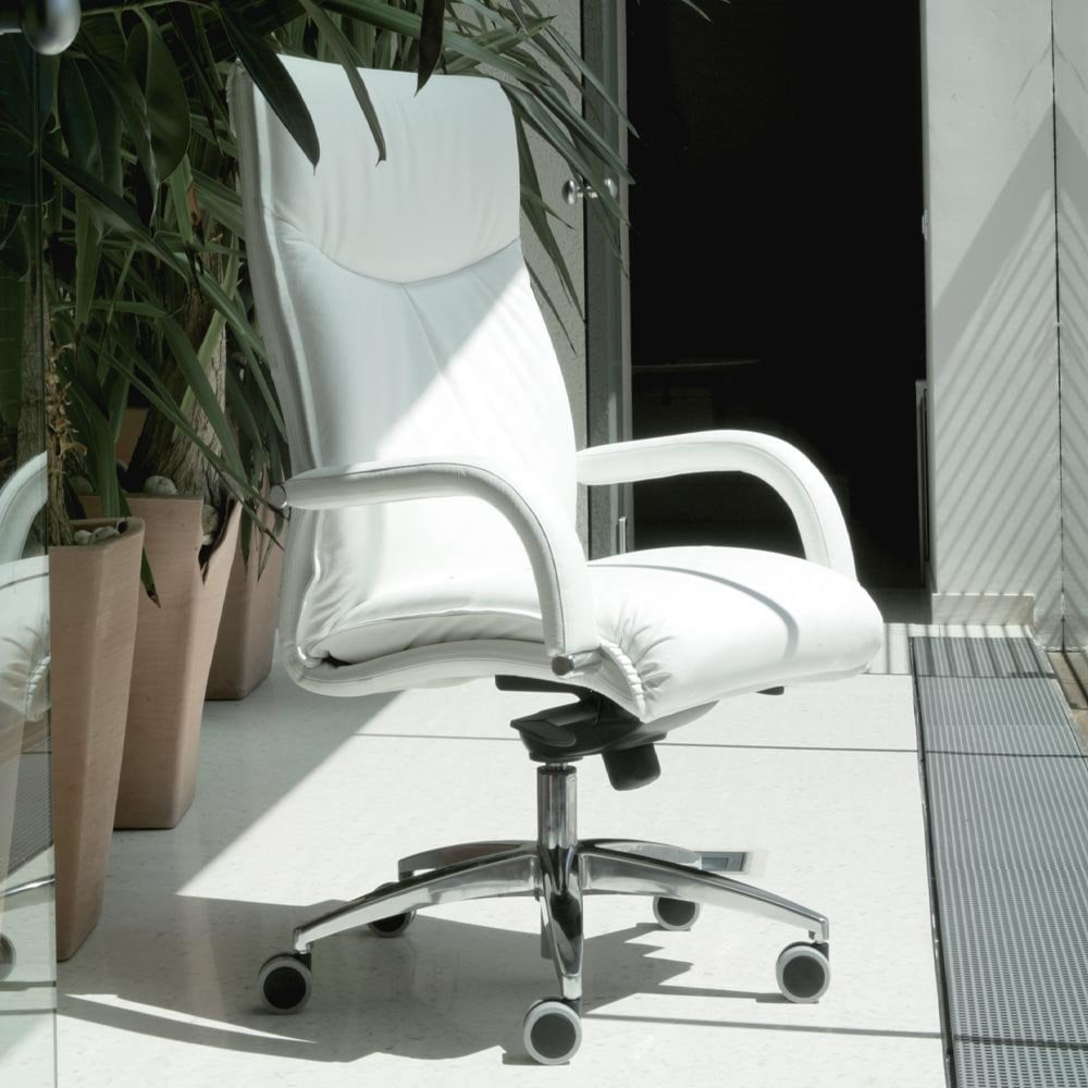 Scaun de birou Project