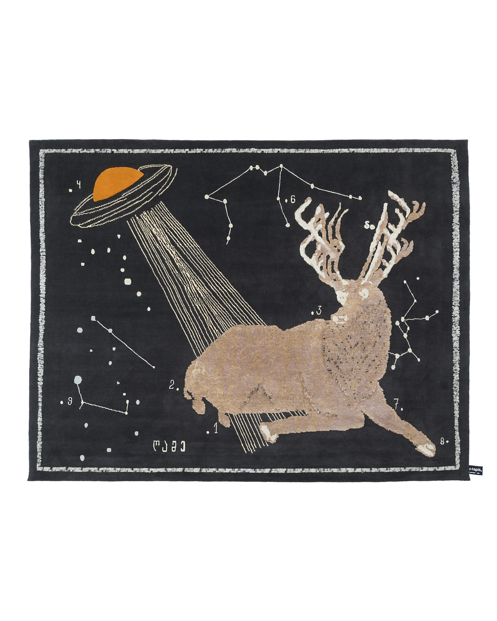 Deer At Night