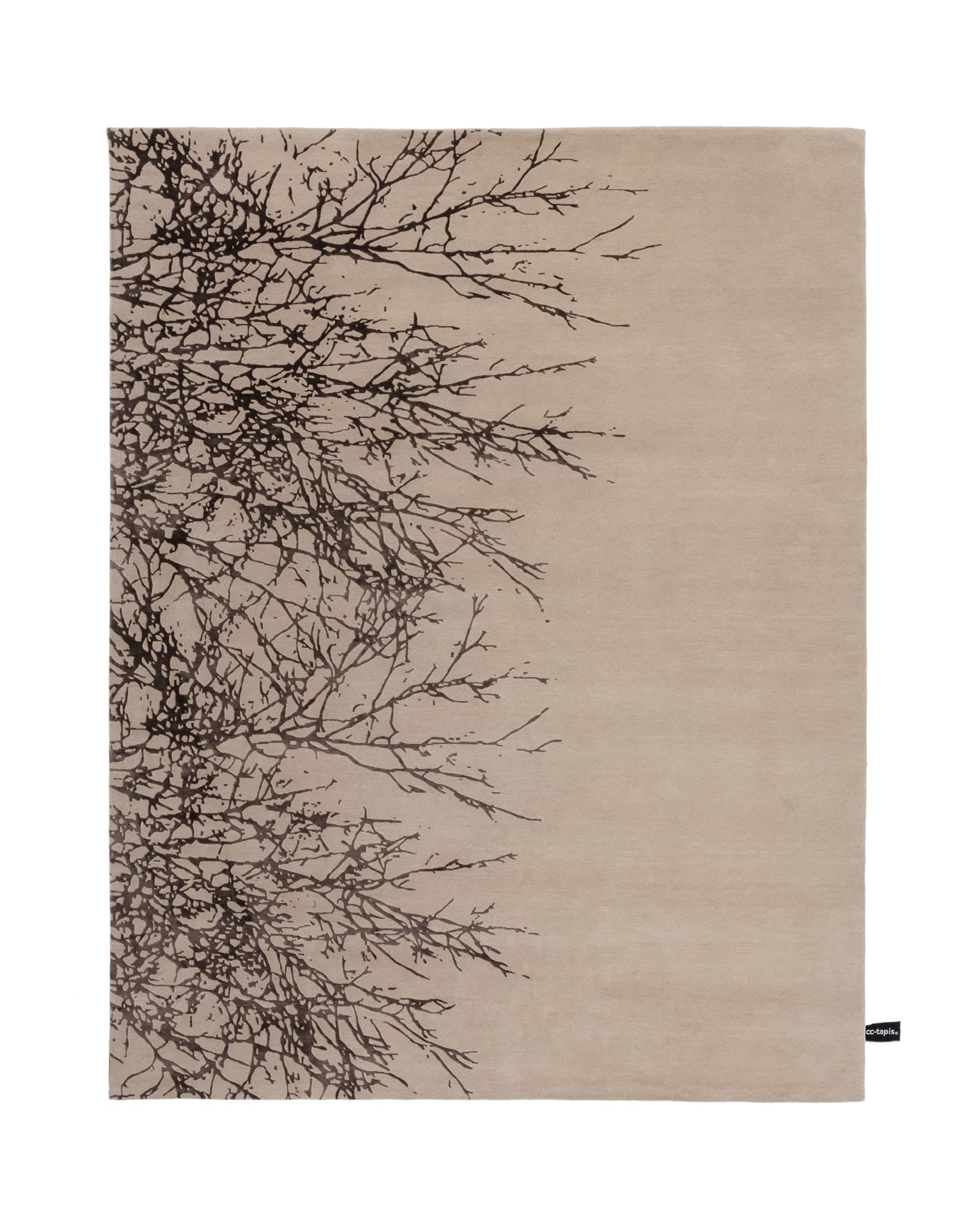 New Forêt