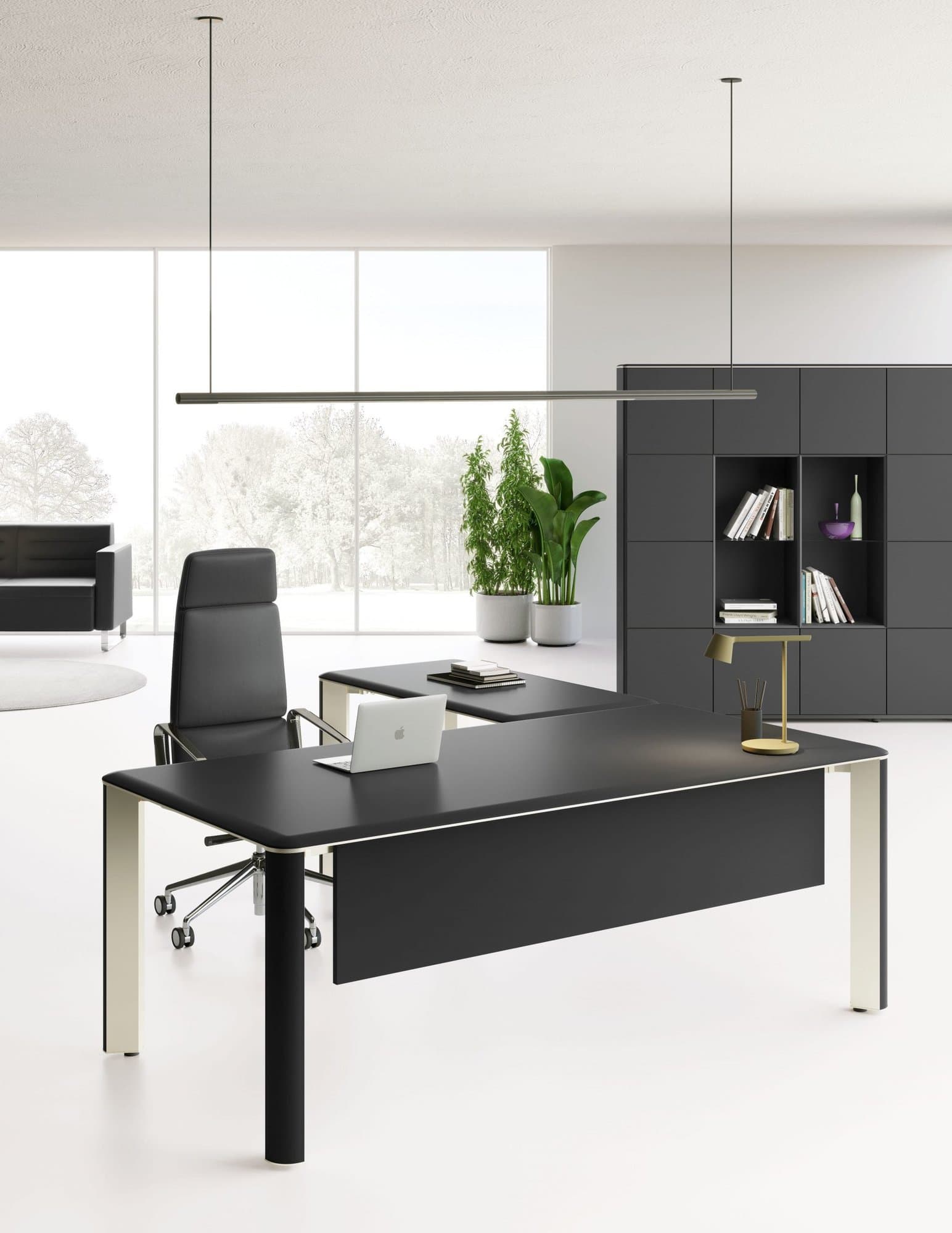 Birou Directorial Iulio